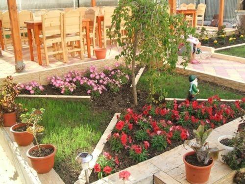 Vila Casa Maria Hotel Costinesti Luaran gambar